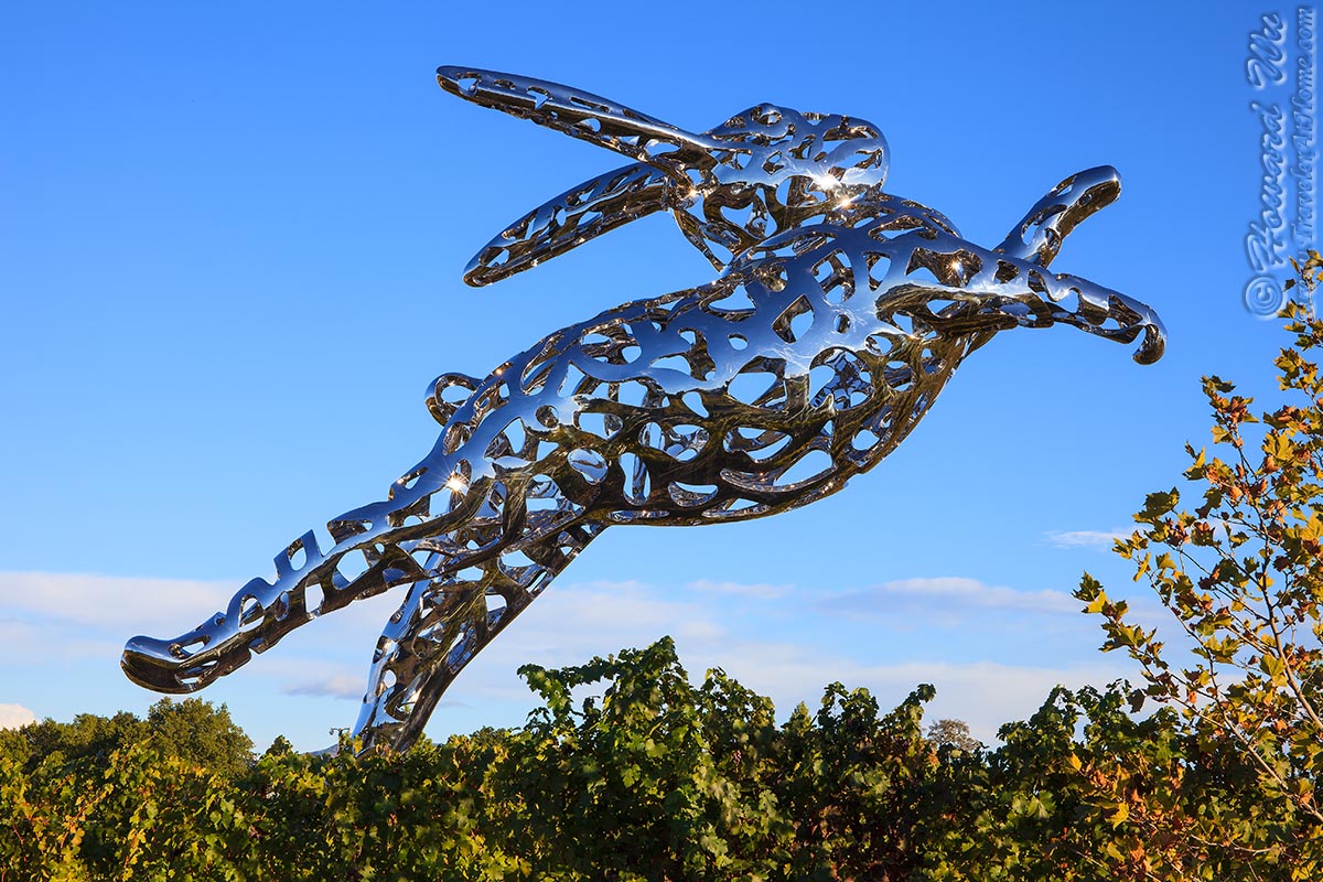 Fall 2015 San Francisco Napa Valley Traveler Home