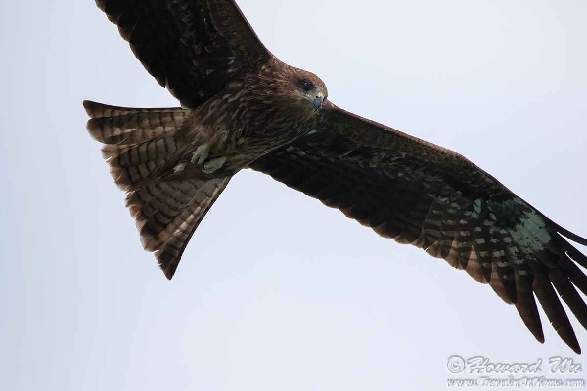 2016 China and Taiwan Trip Hong Kong Traveler Home